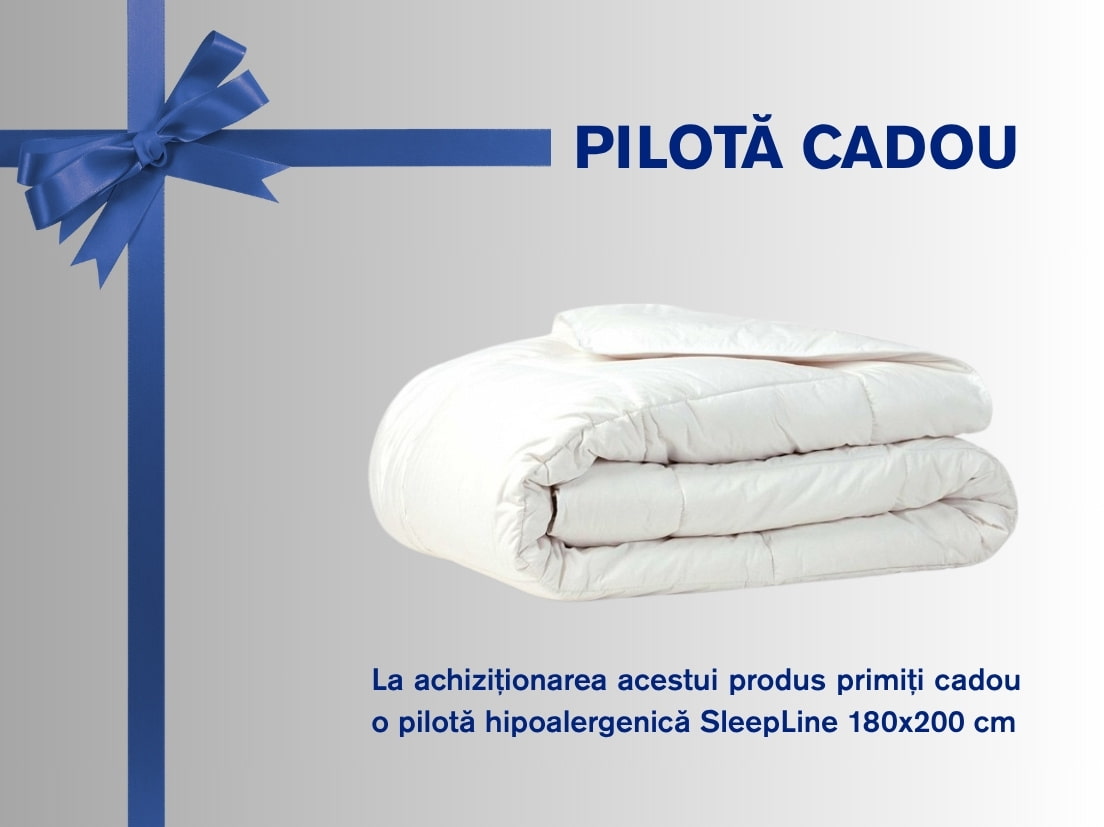 pilota cadou pilota cadou