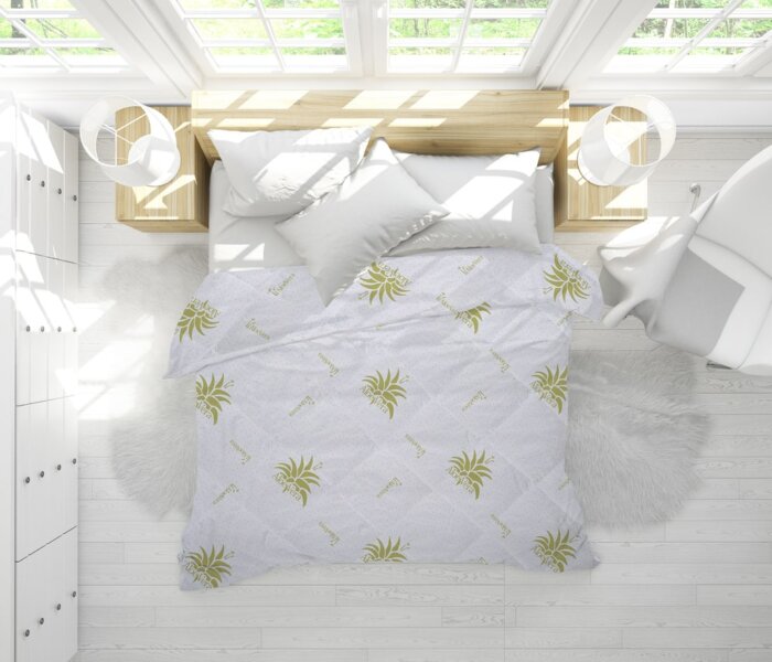 pilota aloe vera - pat