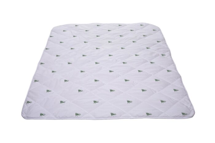 pilota iarna eucalyptus