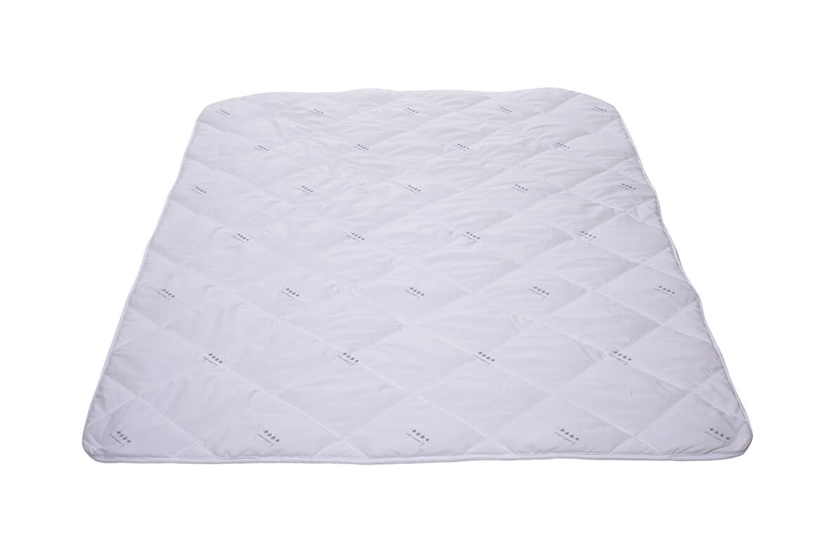 pilota iarna lavanda