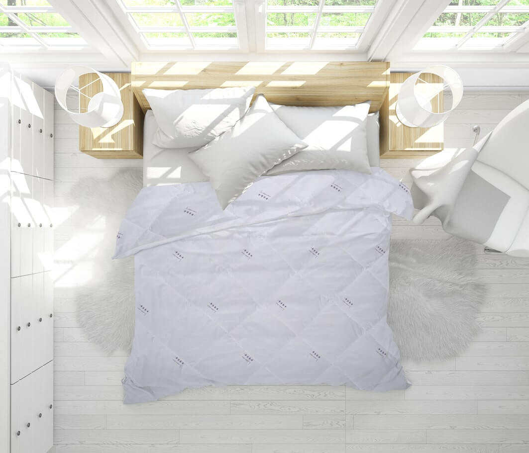 pilote iarna lavanda