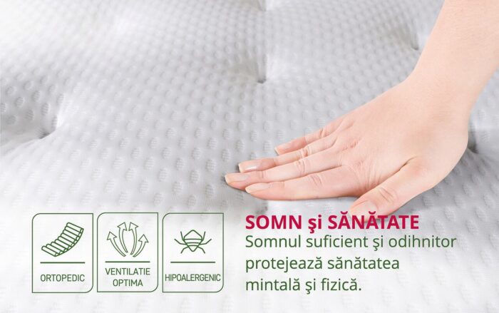 Saltea Arizona Pocket Memory 12