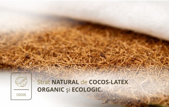 saltea evolution pocket latex 7